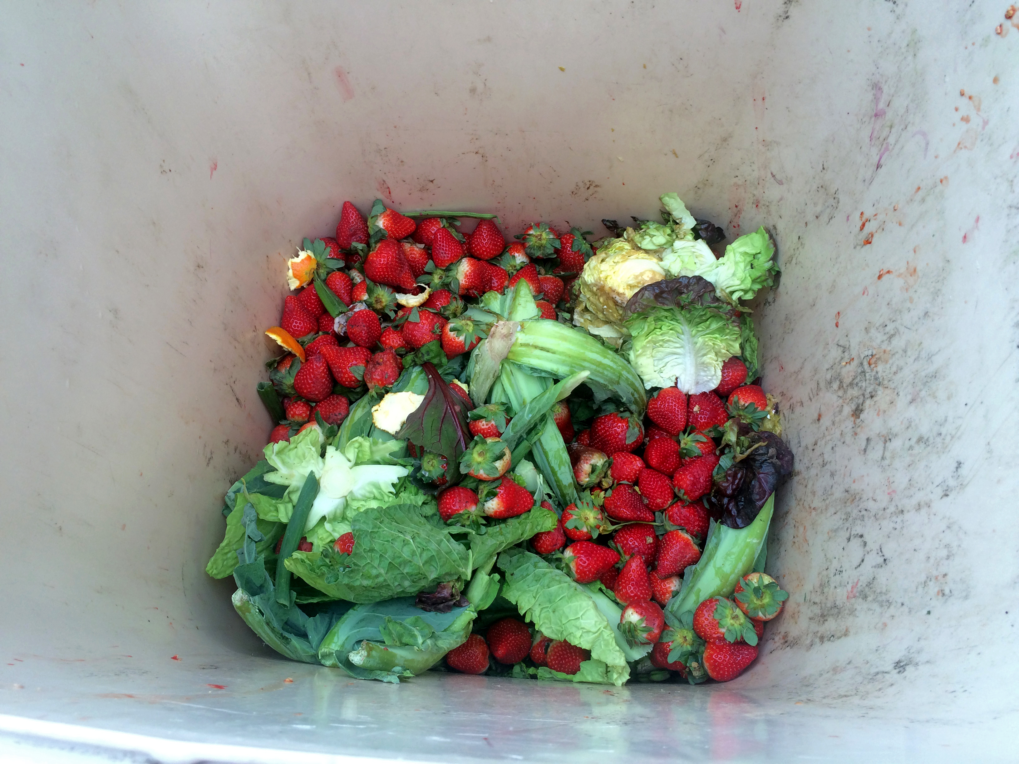 Dumpster diving? Zakaj pa ne.