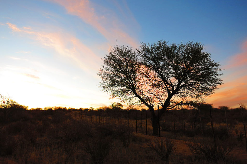Kgalagadi, Južna Afrika
