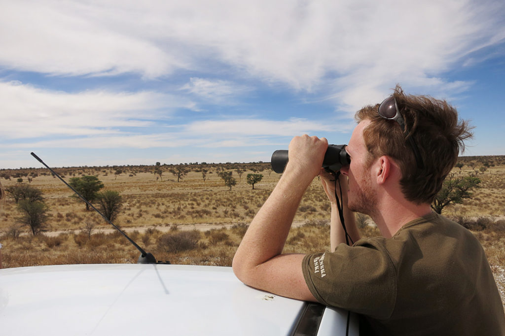 Park Kgalagadi, Južna Afrika